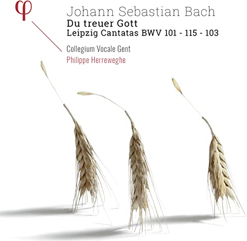 Johann Sebastian Bac - Du Treuer Gott: Leipzig Canatas BWV 101 - 115 - 1 image 1