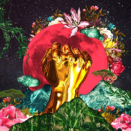 Rina Mushonga - In A Galaxy - Vinyl Record image 1