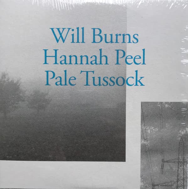 WILL BURNS & HANNAH - PALE TUSSOCK - Vinyl Record 7" RECORD image 1