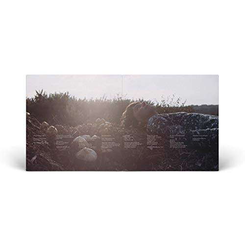 TIM BURGESS - I LOVE THE NEW SKY - Vinyl Record 12" RECORD image 4