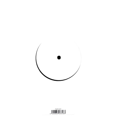 QUINN CHRISTOPHERSON - RAEDEEN / ERASE ME - Vinyl Record 10" RECORD image 2