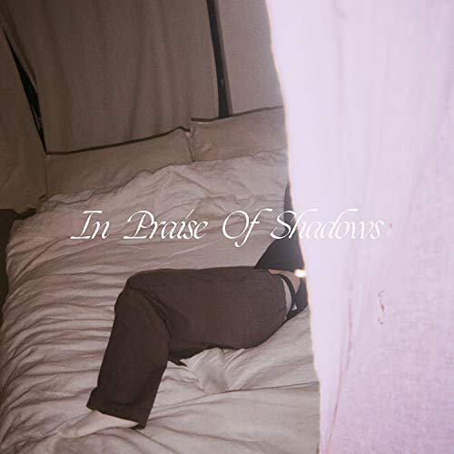 PUMA BLUE - IN PRAISE OF SHADOWS - CD ALBUM image 1