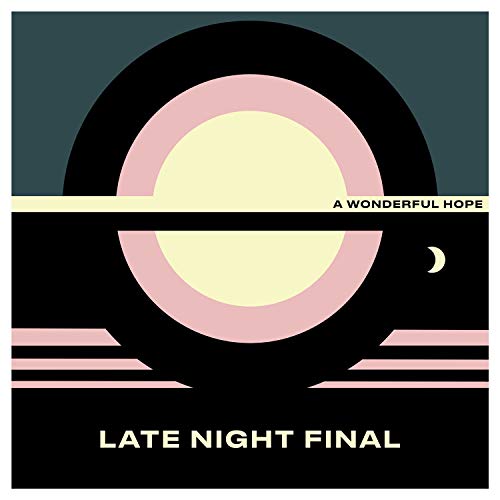 LATE NIGHT FINAL - A WONDERFUL HOPE - Vinyl Record 12" RECORD image 1