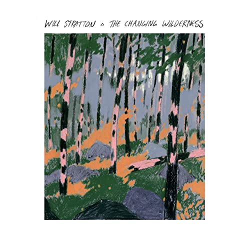 Changing Wilderness - Vinyl Record image 1