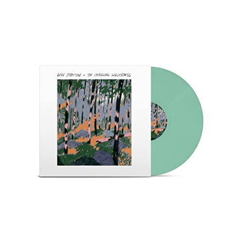 Changing Wilderness - Vinyl Record image 2