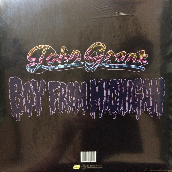 JOHN GRANT - BOY FROM MICHIGAN - Vinyl Record 12" record image 7