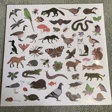 MODERN NATURE - ISLAND OF NOISE - Vinyl Record 12" RECORD image 1