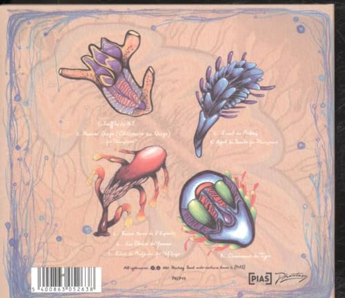 HOUEIDA HEDFI - FLEUVES DE L AME - CD ALBUM image 2