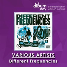 VARIOUS ARTISTS - DIFFERENT FREQUENCIES - Vinyl Record 12" RECORD image 1