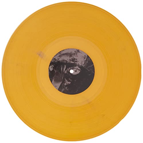 MIDLAKE - TRIALS OF VAN OCCUPANTHER - Vinyl Record 12" RECORD image 4