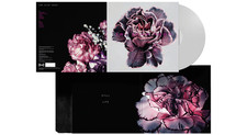 SLOW SHOW - STILL LIFE - Vinyl Record 12" RECORD image 1