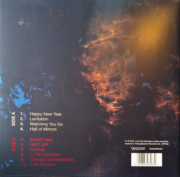LET'S EAT GRANDMA - TWO RIBBONS (DELUXE) - Vinyl Record 12" RECORD image 2
