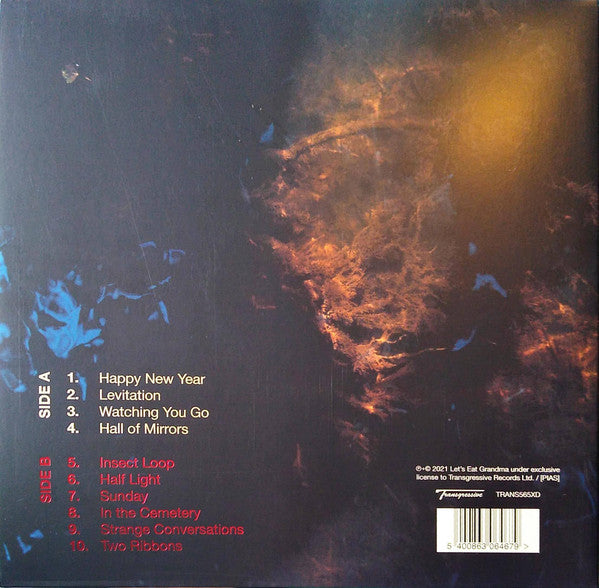 LET'S EAT GRANDMA - TWO RIBBONS (DELUXE) - Vinyl Record 12" RECORD image 7