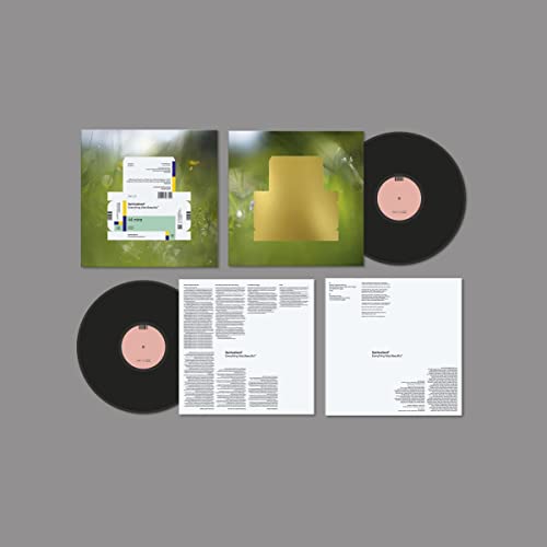 SPIRITUALIZED - Everything Was Beautiful - Vinyl Record image 1
