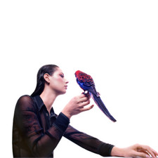 GRACE CUMMINGS - STORM QUEEN - CD ALBUM image 1