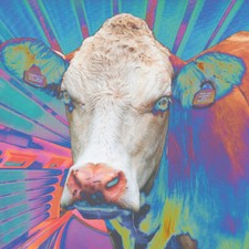 EYES OF OTHERS - CD ALBUM image 1