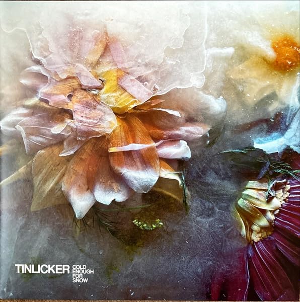 TINLICKER - COLD ENOUGH FOR SNOW - Vinyl Record 12" RECORD image 1