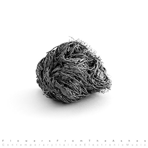 VARIOUS ARTISTS - FLOWERS FROM THE ASHES CONTEM - Vinyl Record image 1