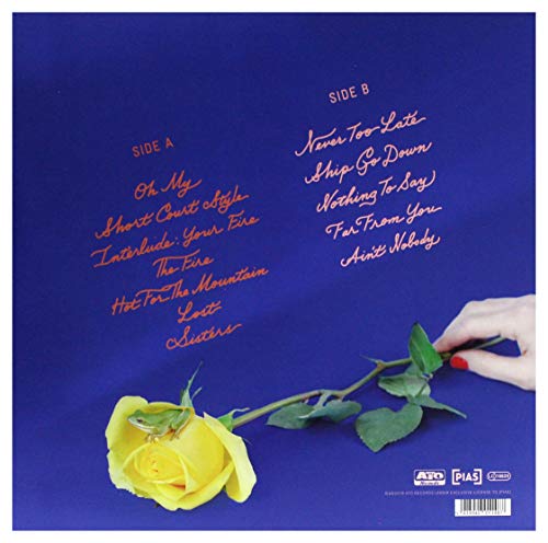 Natalie Prass - Future and the Past - Vinyl Record Vinyl image 2