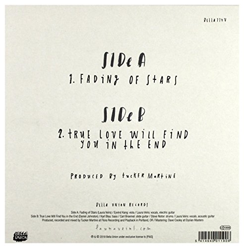 LAURA VEIRS - FADING OF STARS - Vinyl Record 7" RECORD image 2