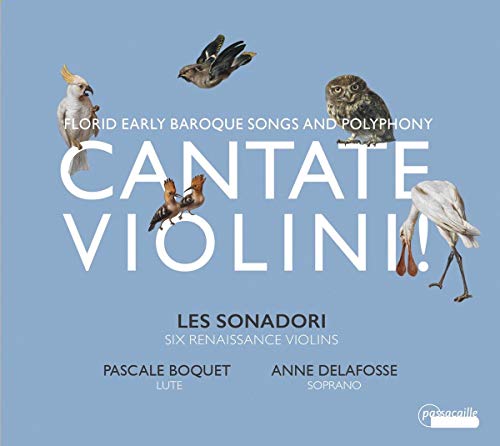 Les Sonadori - Cantate Violini!: Florid Early Baroque Songs and Polyphon image 1