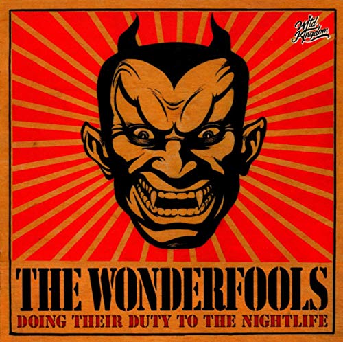 WONDERFOOLS - DOING IR DUTY... - CD image 1