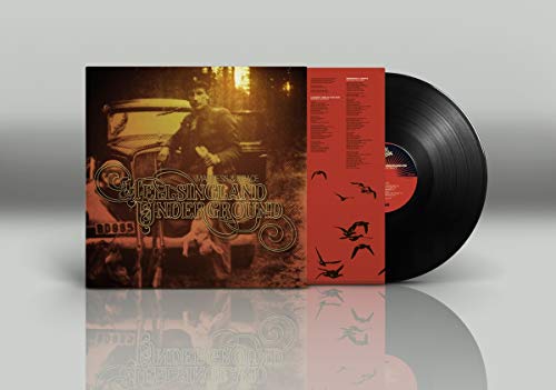 Hellsingland Undergr - Madness & Grace - Vinyl Record Vinyl image 1