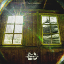 Black Swamp Water - Distant Thunder - Vinyl Record Vinyl image 2