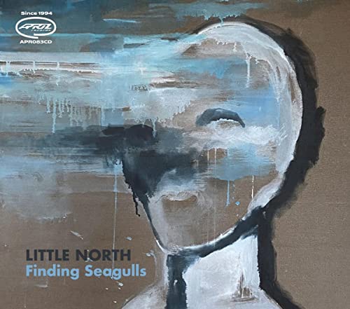 LITTLE NORTH - FINDING SEAGULLS - CD image 1