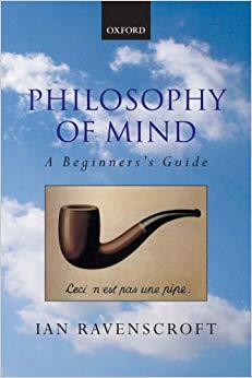 Philosophy of Mind : A Beginner's Guide