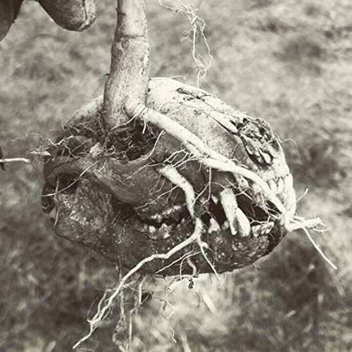 LAST STANDING VILLAGE - CDD