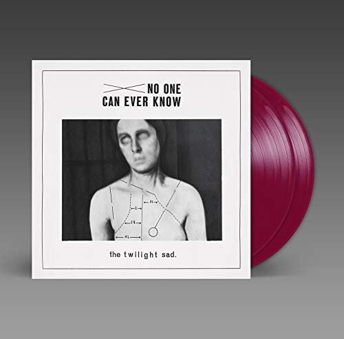 Twilight Sad - No One Can Ever Know - Vinyl Record image 1