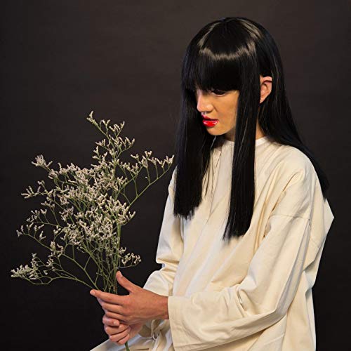 ZHEN SUI - LOSING LINDA - CD