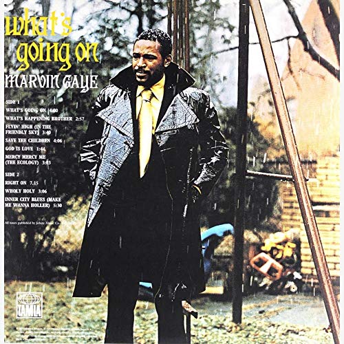 Marvin Gaye - What's Going On - Vinyl Record image 2