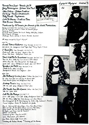 Lynyrd Skynyrd - Second Helping - Vinyl Record image 2