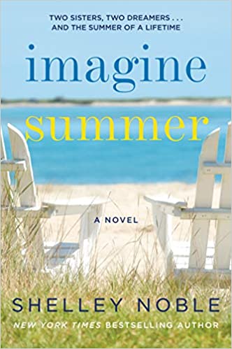 Imagine Summer : A Novel