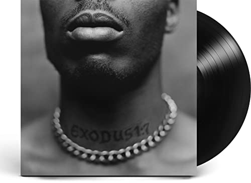 DMX - Exodus - Vinyl Record image 1