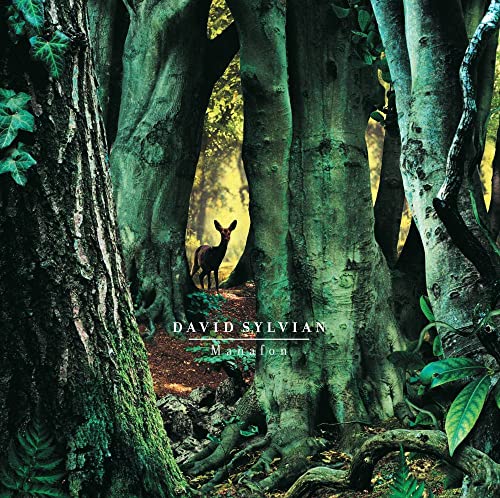 SYLVIAN - MANAFON - Vinyl Record L.P. SET image 1