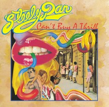 STEELY DAN - CAN'T BUY A THRILL - Vinyl Record 12 INCH RECORD image 1