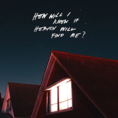 Amazons - How Will I Know If Heaven Will Find Me? - Vinyl Record 12 INC image 1