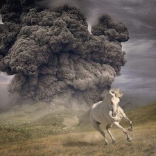White Buffalo - Year of the Dark Horse Transparent Blue LP - Transpare image 1