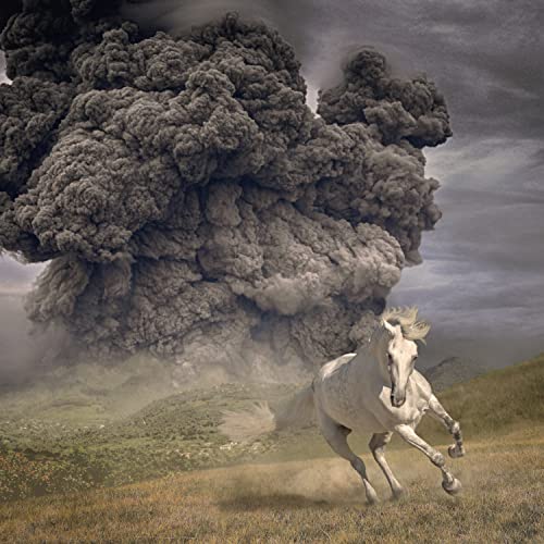White Buffalo - Year of the Dark Horse Transparent Blue LP - Transpare image 2