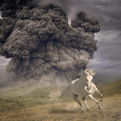 WHITE BUFFALO - - Year of Dark Horse CD Jewelcase - CD Jewelcase image 1