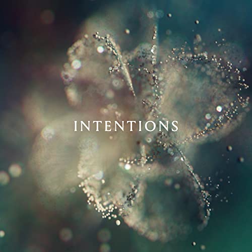 ANNA - Intentions - Vinyl Record image 1