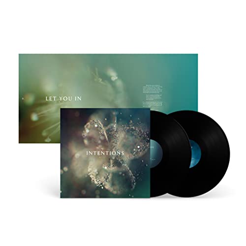 ANNA - Intentions - Vinyl Record image 2