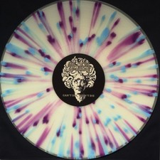 BLACK SPIDERS - CAN'T DIE, WON'T DIE - Vinyl Record 12" RECORD image 1