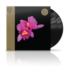 Opeth - Orchid - Vinyl Record 12" Album image 1
