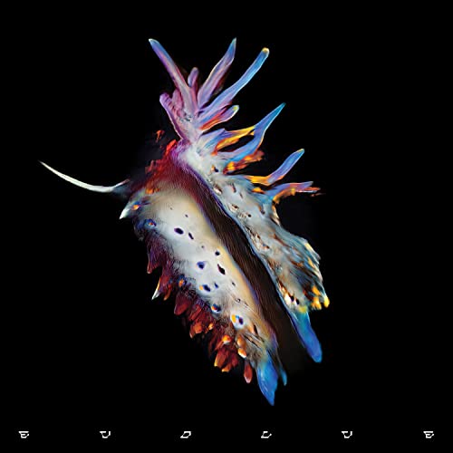 SUB FOCUS - Evolve - CD image 1