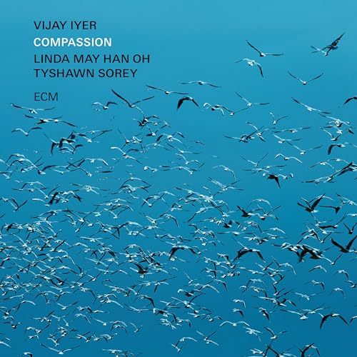 Vijay Iyer - Compassion - Vinyl Record image 2