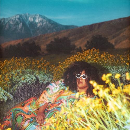 Brittany Howard - WHAT NOW - standard CD image 1